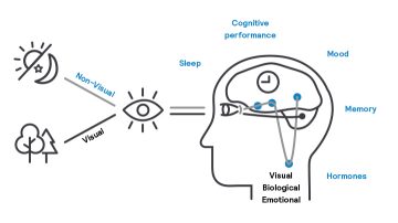 how bioup technology works