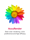 Accurender flower