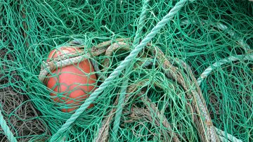 fish net