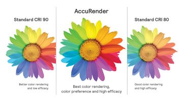 accu render