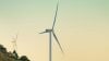 sustainable products
