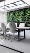 salle de réunion avec des plantes