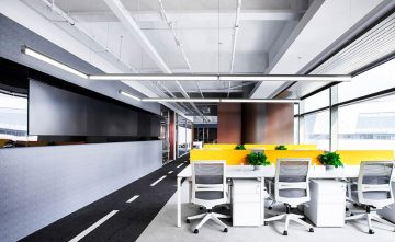 modifly bureau mural